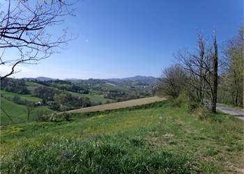 Rustico/Casale In Vendita a Salsomaggiore Terme